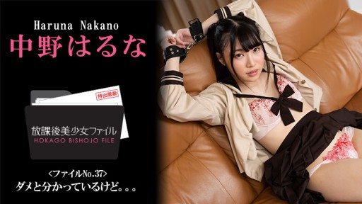 HEYZO-3044 After School Bishojo File No.37 - Saya tahu saya tidak boleh melakukannya, tapi... ~