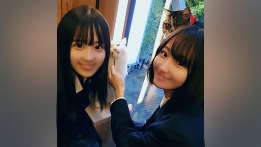 FC2PPV-2477518 Dua siswi cantik ortodoks dibawa ke ruang tertutup untuk percabulan cabul... Tembakan cum vagina 3P dalam tubuh putih murni yang sedang berkembang!