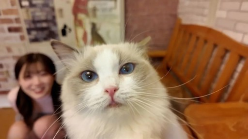 FC2PPV-4511406 Terlalu lucu dan sangat jarang. Saat berkencan di kafe kucing, kucing itu berkata, ``Manis sekali...'', dan setelah kencan, menjadi rahasia bahwa hanya kami berdua yang tergila-gila pada vaginaku.